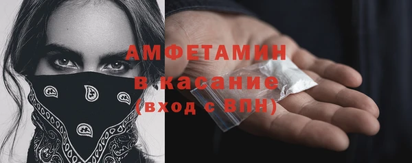 шишки Вяземский