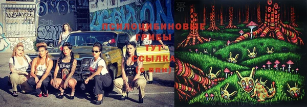 дживик Вязники