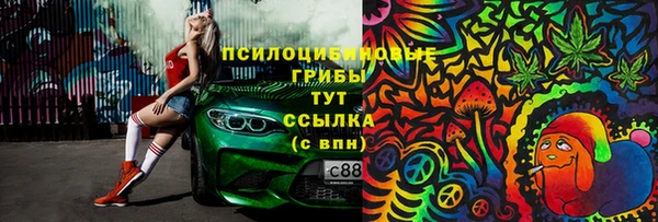 дживик Вязники