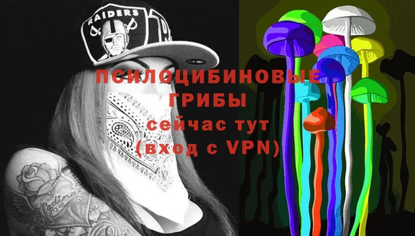 ешки Вязьма