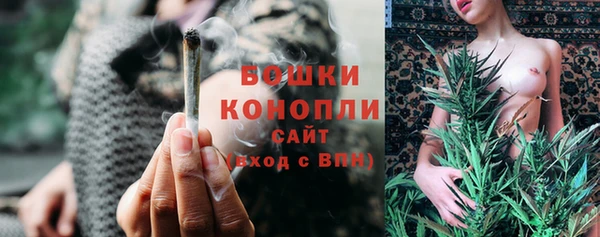 не бодяженный Горно-Алтайск