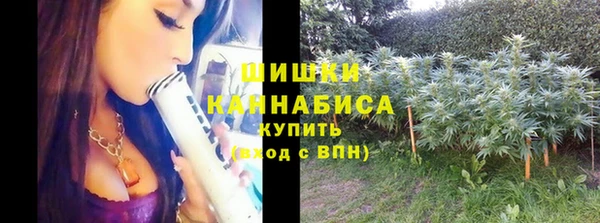 дживик Вязники