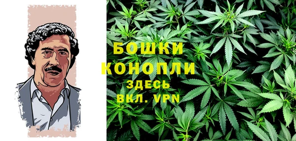 шишки Вяземский