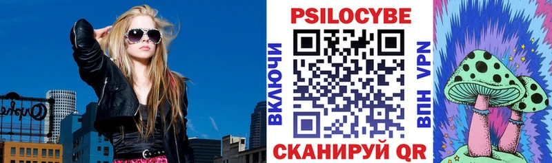 Галлюциногенные грибы Psilocybine cubensis  гидра как войти  Зеленогорск 