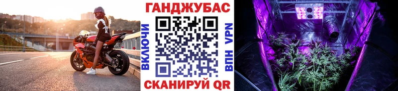 Шишки марихуана планчик Зеленогорск